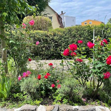 Fewo Apartment Lake Of Constance FDH Eksteriør bilde