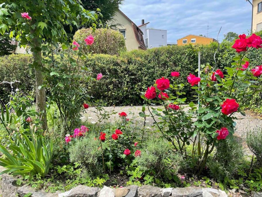 Fewo Apartment Lake Of Constance FDH Eksteriør bilde